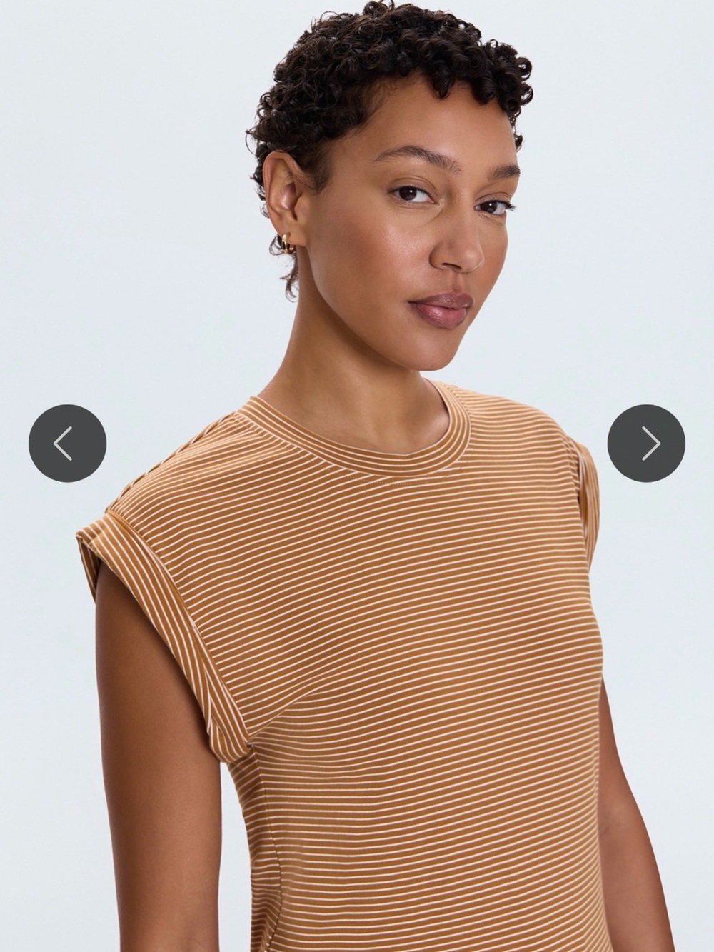 PISTOLA Striped Crew Neck T-Shirt – Brown & White – Size M